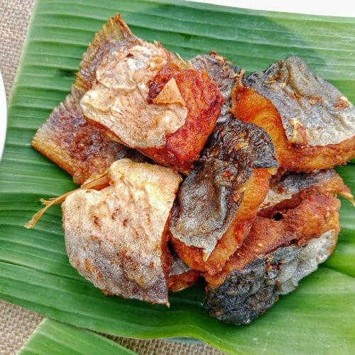 Manfaat Ikan Patin untuk Kesehatan Ibu dan Janin