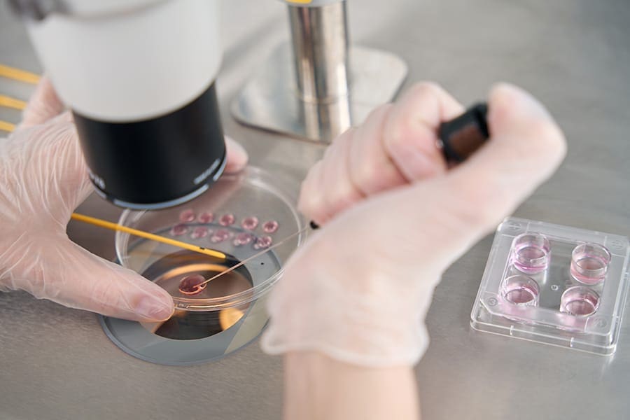 Inkubator Embryoscope Time-Lapse untuk pemantauan embrio
