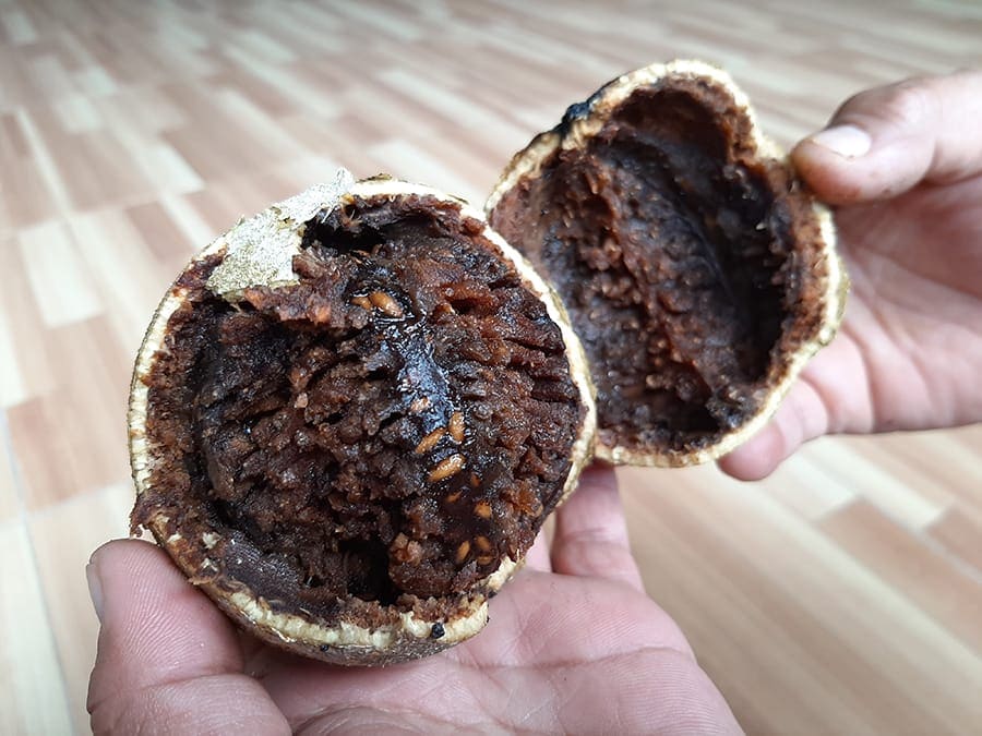 Keajaiban Nutrisi Buah Kawista untuk Kesehatan Ibu Hamil