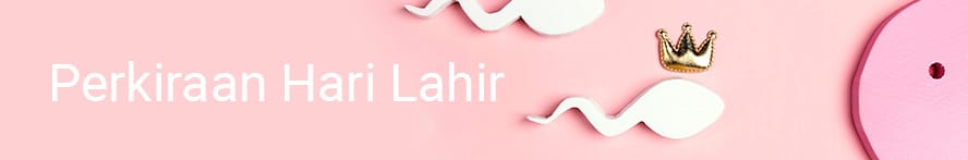 perkiraan hari lahir