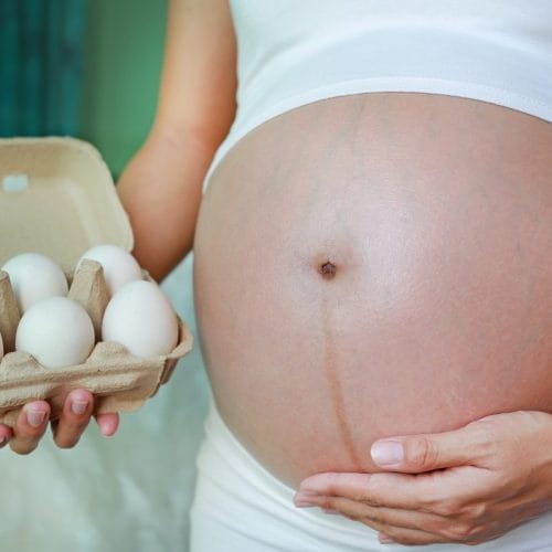 Manfaat Telur Bebek untuk Ibu Hamil dan Janin
