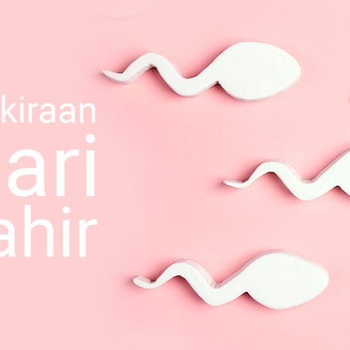 Kalkulator Hari Perkiraan Lahir (HPL) atau Due Date Calculator