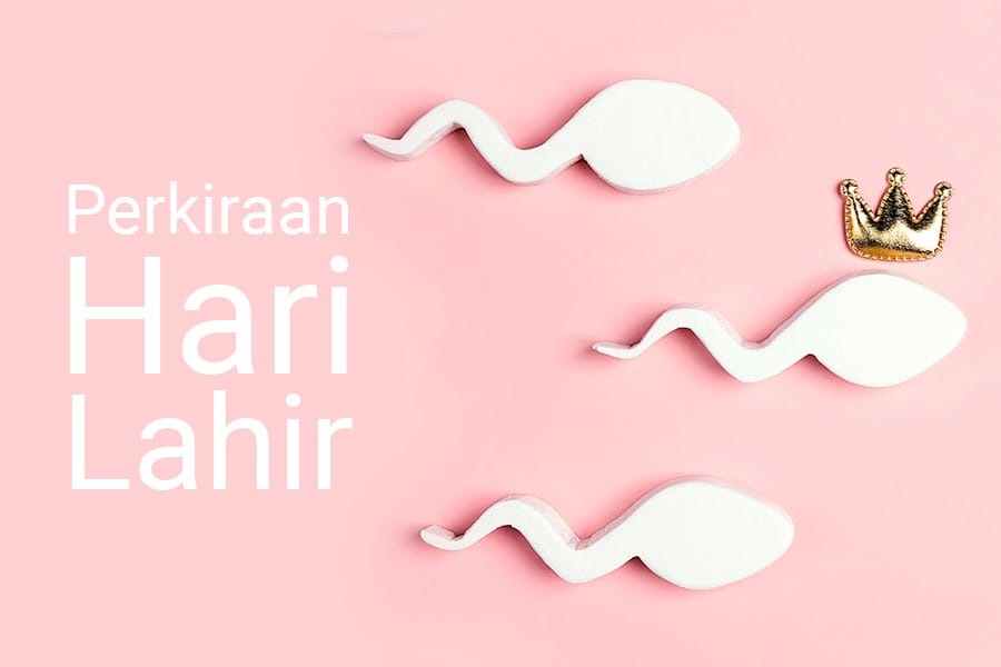 Kalkulator Hari Perkiraan Lahir (HPL) atau Due Date Calculator