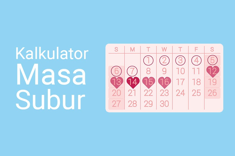 Kalkulator Masa Subur Wanita – Hitung Jadwal Ovulasi