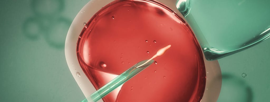 inseminasi