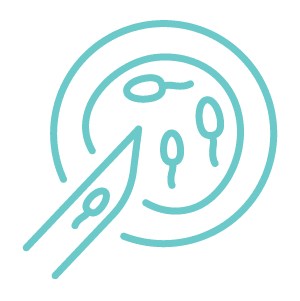 icon ivf