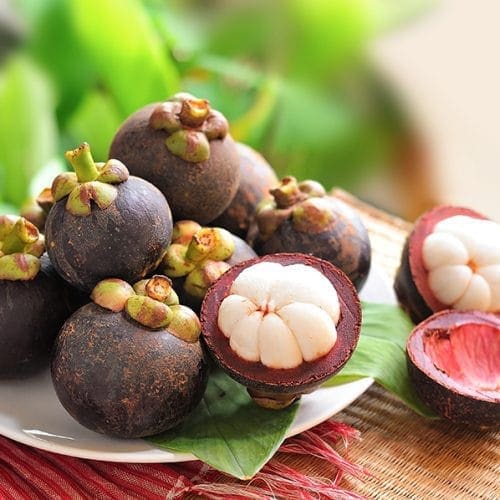 8 Manfaat Buah Manggis untuk Ibu Hamil, Jangan Dilewatkan!