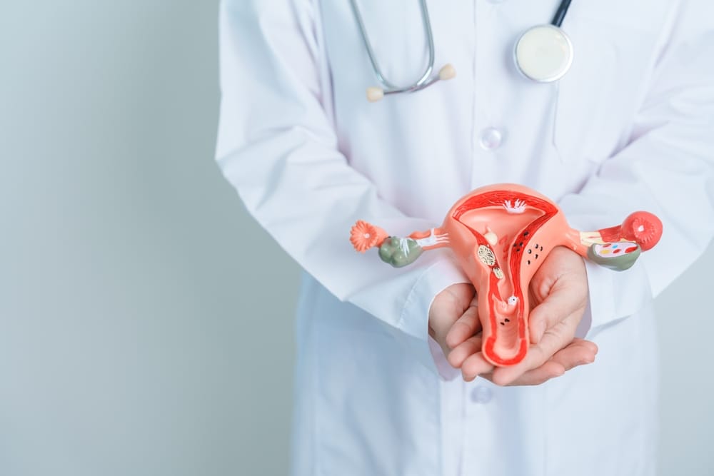 Dokter memegang model anatomi rahim dan ovarium