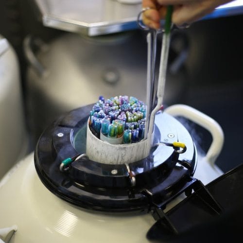 Mengenal Frozen Embryo Transfer dalam Program Bayi Tabung