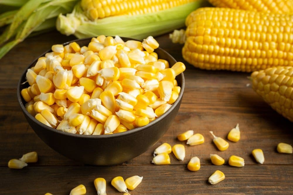 12 Manfaat Jagung untuk Ibu Hamil dan Calon Buah Hati