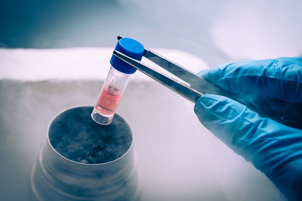 Apa Tujuan Pembekuan Sel Telur (Egg Freezing) untuk Wanita?