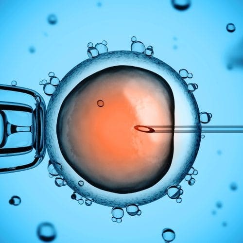 Apa Itu Inseminasi Buatan? Prosedur, Fungsi, Efek Samping
