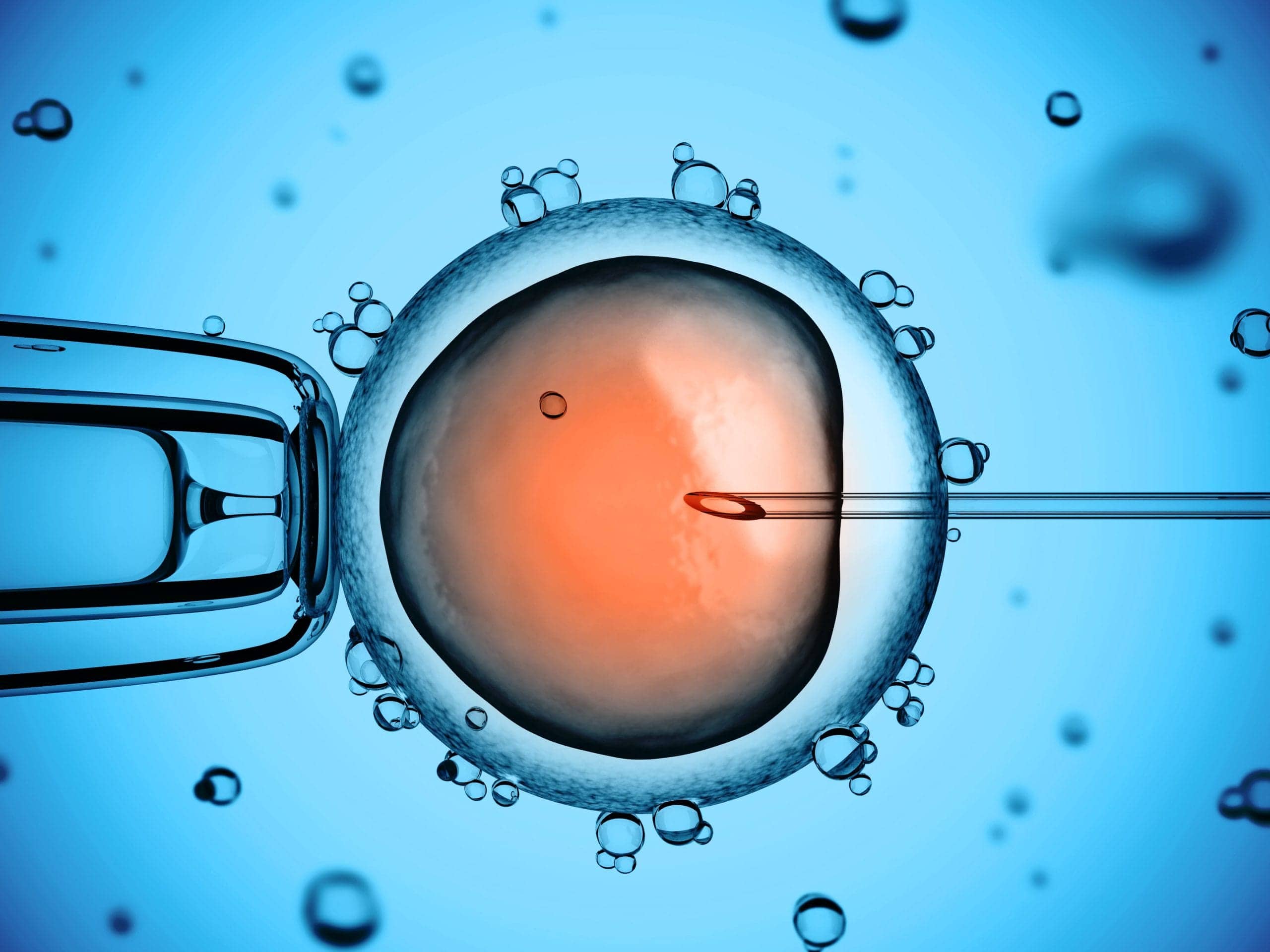 Apa Itu Inseminasi Buatan? Prosedur, Fungsi, Efek Samping