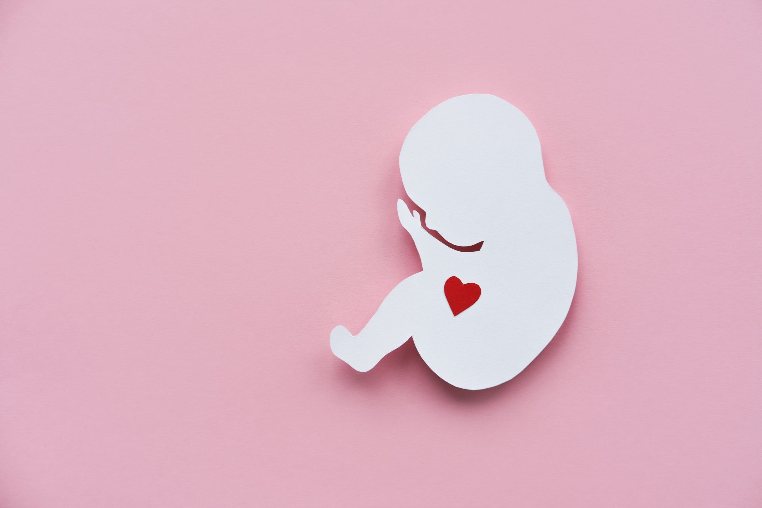 Ciri-ciri Implantasi Embrio Berhasil dalam Program IVF
