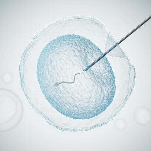 Kapan Waktu Terbaik untuk Inseminasi Buatan (IUI)?