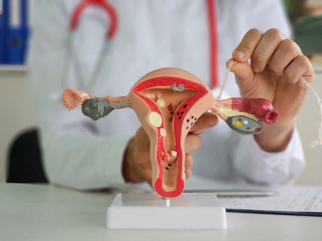 Mengenal Fungsi Tuba Falopi pada Sistem Reproduksi Wanita