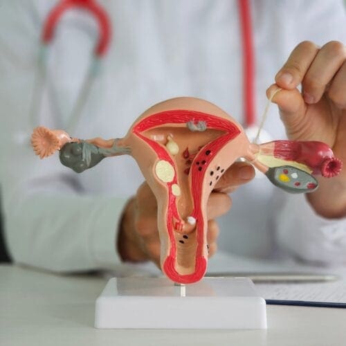 Mengenal Fungsi Tuba Falopi pada Sistem Reproduksi Wanita