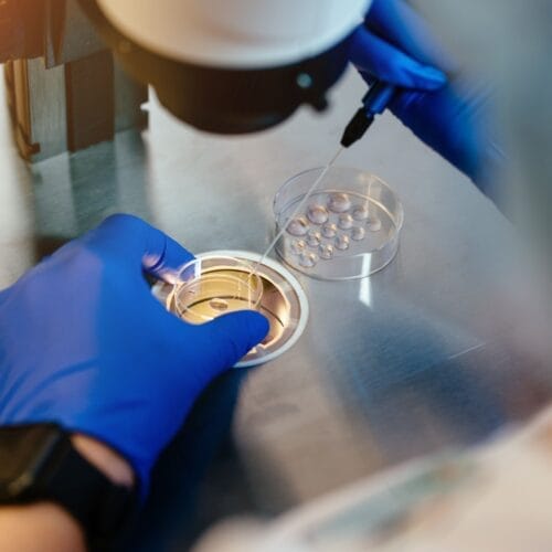 Klinik & Dokter Inseminasi Jakarta Selatan – Ciputra IVF