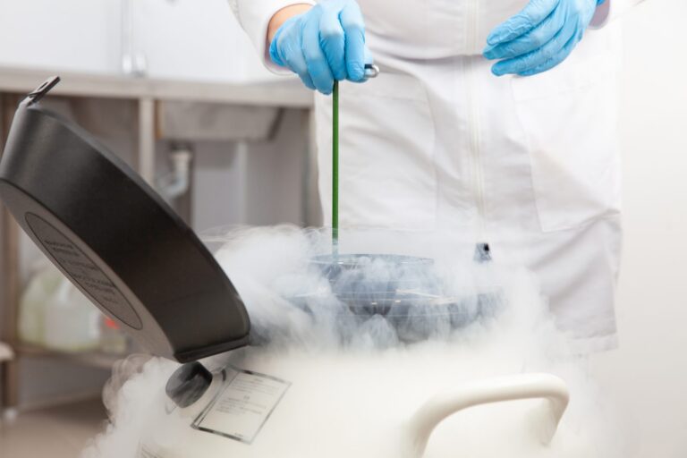 Pembekuan Sel Telur (Egg Freezing)