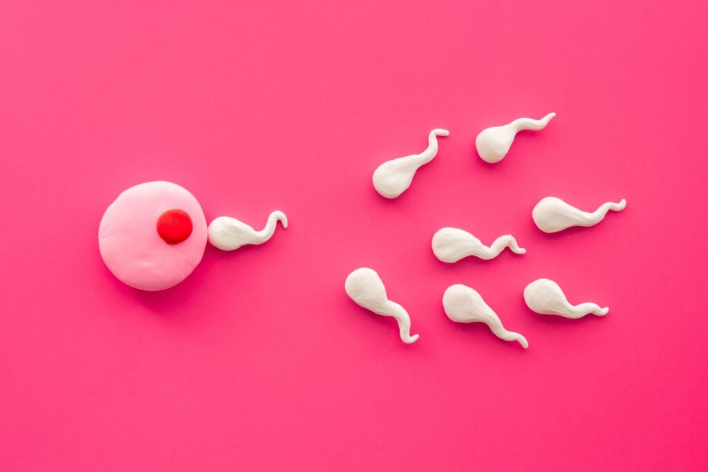 Tahapan Pengaruh Usia pada Kualitas Ovum (Sel Telur) Wanita