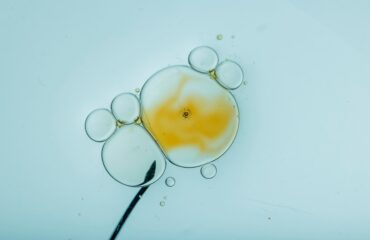 Kualitas Sel Telur (Egg Quality): Pengaruh PCOS, Endometriosis, dan Usia