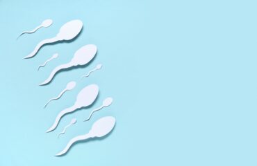 Morfologi Sperma: Bentuk Normal yang Mempengaruhi Kesuburan