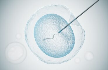 round spermatid injection